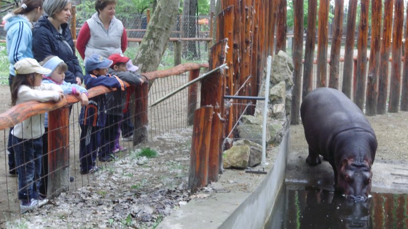 2011 05 02 Vadaspark 029.jpg